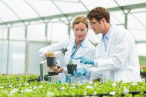 Descubre qué estudia la botánica, sus principales ramas y qué hace un botánico. Conoce cómo esta ciencia investiga las plantas y su impacto.