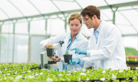 ¿Qué estudia la botánica? Todo lo que debes saber