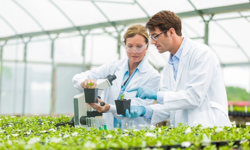 Descubre qué estudia la botánica, sus principales ramas y qué hace un botánico. Conoce cómo esta ciencia investiga las plantas y su impacto.